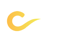 ICF Free Business Resources by Assessments 24x7