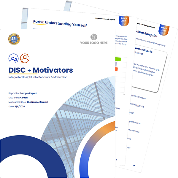 disc + mot sample reports image